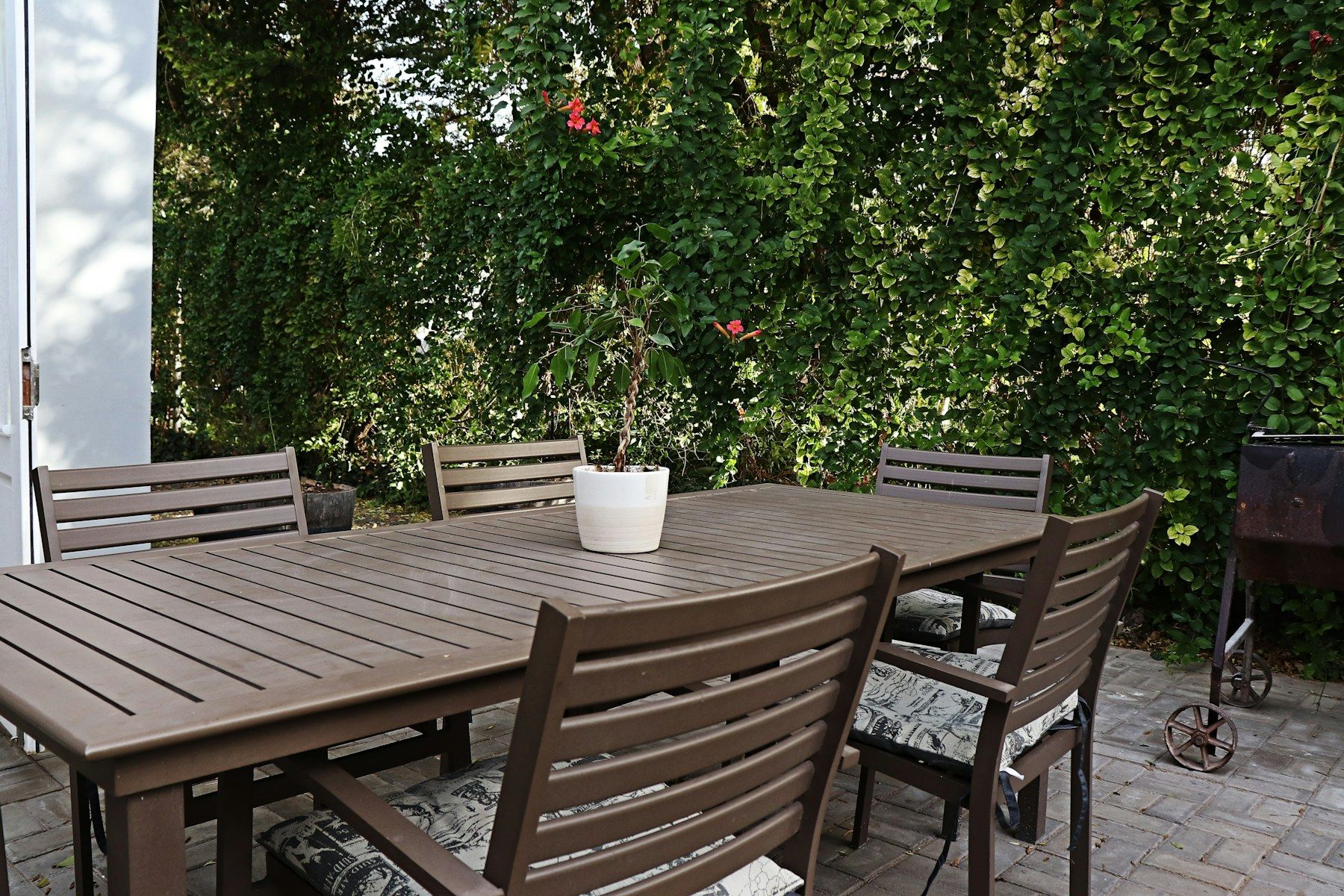The patio