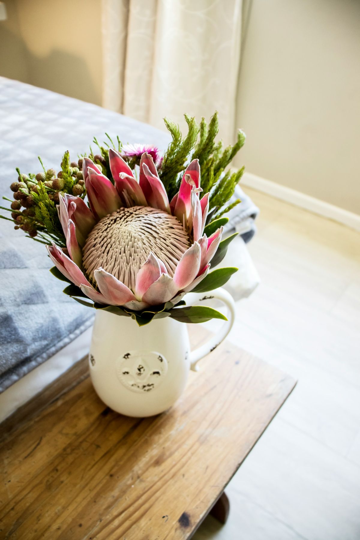 A protea in a vase